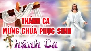 Nhạc Thánh Ca Phục Sinh 2018  Thánh Ca Mùa Phục Sinh Hay Nhất  Thánh Ca Tuyển Chọn [upl. by Pancho319]