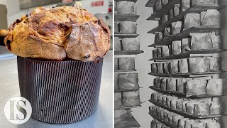 Il Panettone la ricetta milanese originale della Pasticceria Besuschio dal 1845 [upl. by Fidela]