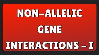 Nonallelic Gene Interactions  I [upl. by Rog]