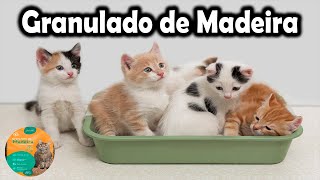 O MELHOR GRANULADO DE MADEIRA PARA GATOS [upl. by Eninnaej]