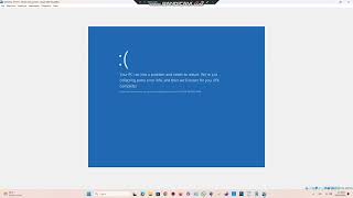 Windows 10 1511 BSOD VM 19 My Computer and VM have BSOD 124 [upl. by Tristis]