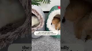 Booteeley Christmas Cat House – Cozy Portable amp Easy to Set Up Link is in comment cat pets cute [upl. by Duval]