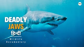 Deadly Jaws  हिन्दी डॉक्यूमेंट्री Wild Africa  Wildlife documentary in Hindi [upl. by Akiret]