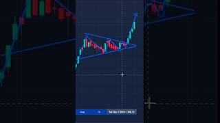 Bullish pennant Chart pattern trading nepseonlinetrading stockanalysis nepsetrader nepalshorts [upl. by Lanoil]