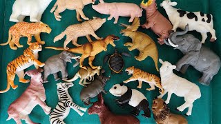 Farm Diorama with Animal Figurines  Learn Animal Names [upl. by Eelrebma]