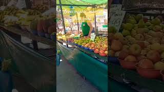 feira petrópolis familia vegetais vidanaroça seescrevanocanal shortvideo viralshorts [upl. by Assilla105]