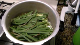 Oil Extraction from Herbs with DIY Kitchen Still [upl. by Ameyn]