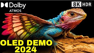 Expert Reveals Top OLED DEMO TEST for TVs with Dolby Atmos for 2024 [upl. by Bohlen899]