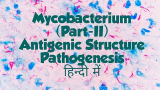 Mycobacterium tuberculosis antigenic structure pathogenesis in hindi [upl. by Baecher]