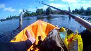 Kayak Fishing Kawartha Lakes [upl. by Leicam]