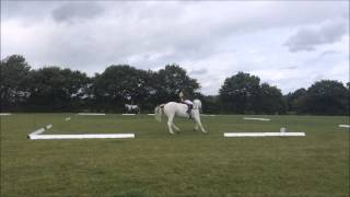 SOMERFORD NOVICE  345 4 clear xc [upl. by Ssac]