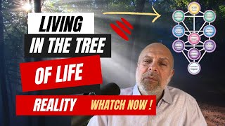 Kabbalah Secrets How To Shift from The Tree of Knowledge To The Tree of Life [upl. by Pellegrini698]