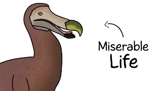 Why It Sucked to Be Born as a Dodo Bird [upl. by Pirozzo]