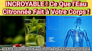 ALERTE SANTÉ  Les Effets SURPRENANTS de lEau Citronnée sur Votre Corps [upl. by Ettevram873]