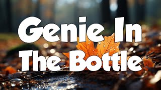 Genie In The Bottle  Christina Aguilera Lyrics  MIX LYRICS [upl. by Ahseet114]