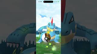 Mighty Feraligatr in the Wild Area Fled 🥹 pokemongo shorts [upl. by Mcmullan841]