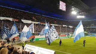 MSV Duisburg vs FC Magdeburg  Zebratwist [upl. by Glyn]