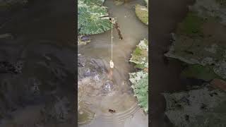 Fishing  Amazing Hook Fishing fishing fishingbyhook fishingmethods [upl. by Monson532]