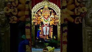 Ullathile nee iruka unnai nambi naan iruka❤❤❤❤❤❤murugansongs murugan [upl. by Mahmud]