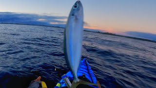 MACKEREL FISHING IN HAWAII RAWPOV [upl. by Berfield]