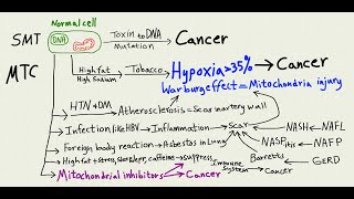 New Rogers mitochondrial toxin theory of cancer June 2024 [upl. by Ahseeyt]