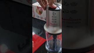 Moulinex Mini Chopper 3 in 1 Made in France Overview Pakrefcom [upl. by Kamerman446]