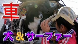 サーファー＆犬の車🚐サーフィン仕様🌊ロングボード🐶ボーダーコリー Car of Surfer＆Dog Longboard Surfing [upl. by Flodnar]