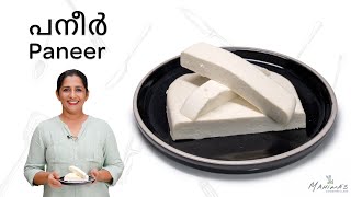 How to make Paneer Perfectly at Home  Soft Paneer  Homemade Paneer  പനീർ [upl. by Norit306]