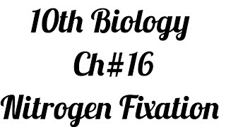 Nitrogen Cycle Nitrogen FixationCh1610th Biology [upl. by Eecyac]