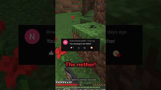 We’re Going To The Nether minecraft shorts [upl. by Slade]