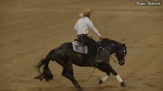 Matt Mills Reining Horses at the Cactus Reining Classic Run For A Million qualifier [upl. by Cai466]