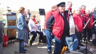 Haallijntje Boellijntje  Shantykoor Skuytevaert Koninginnedag Katwijk 2010 [upl. by Hillell]