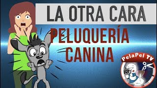 PELUQUERÍA CANINA LA OTRA CARA MENOS AGRADABLE [upl. by Brannon]