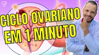 Ciclo Ovariano em 01 minuto  Formação do Folículo e Ovulação [upl. by Rivers537]