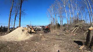 Chipping a Big Pile of Brush in 10 Seconds [upl. by Ardnossak]