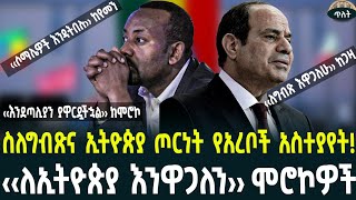 ስለግብጽና ኢትዮጵያ ጦርነት የአረቦች ኮሜንት September 21 2024 [upl. by Rehpinnej339]