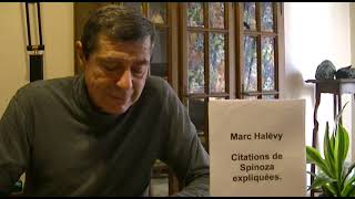 Marc Halévy Citations de Spinoza expliquées [upl. by Nymassej976]