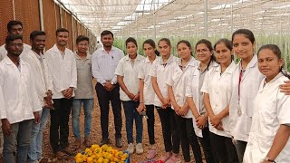 DrDYPatil college of agriculture Talsande Horticulture Module 20222023Capsicum Production [upl. by Kara-Lynn705]