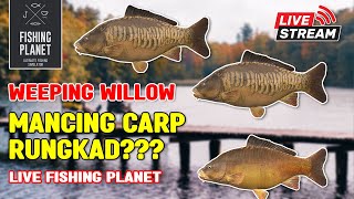 LIVE  FISHING PLANET  WEEPING WILLOW  MANCING CARP MASA RUNGKAD SIH [upl. by Swamy]