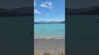 Akaroa Nz [upl. by Stelle]