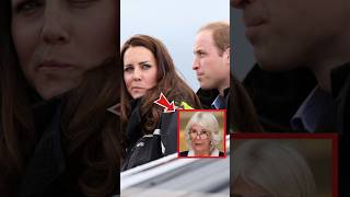 5 Times Camilla Meddled in William and Catherine’s Marriage shorts catherine [upl. by Eidac]