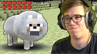 😂 800 IQ Kutya Tutti SMP Minecraft 120 10 😂 [upl. by Nnaassilem]