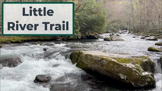 Little River Trail in Elkmont 💦 💦 [upl. by Eelek]