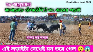 আজকে মানাড়া আসরে ২নং কাড়ার লড়াই 🥱 Kara Larai  Purulia Kara Larai 2024  Manbhum Local Vlogs [upl. by Aitnyc]