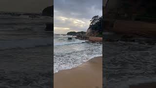 Central Coast Terrigal 🔥🏖️ nsw australia aussietrip [upl. by Artemas]