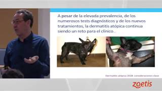 Cytopoint y la terapia con anticuerpos monoclonales en dermatologia Primera Parte [upl. by Arriet]