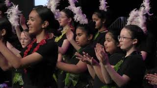 Bathgate Park School Multicultural Group 1 Otago Polyfest 2024 [upl. by Robillard]