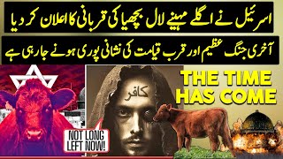 Israel Sacrificing Red Heifer In April  End time Prophecy  Urdu  Hindi [upl. by Arrek143]