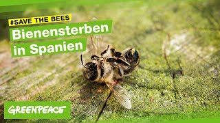 Bienensterben Imkerstory aus Spanien [upl. by Traver]