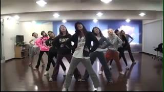 SNSD I Got A Boy  dance practice video [upl. by Ralfston789]